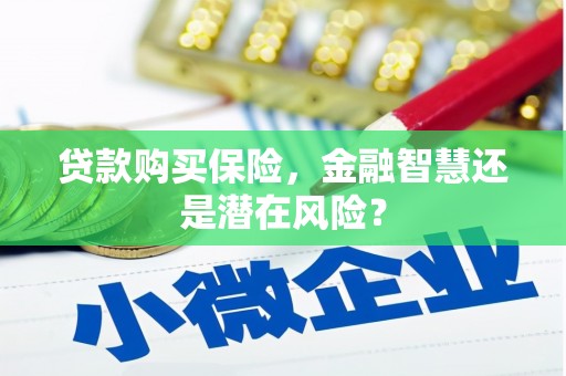 西吉贷款购买保险，金融智慧还是潜在风险？