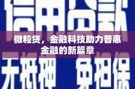 西吉微粒贷，金融科技助力普惠金融的新篇章
