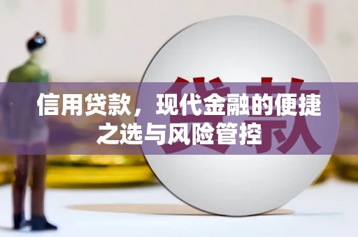 西吉信用贷款，现代金融的便捷之选与风险管控