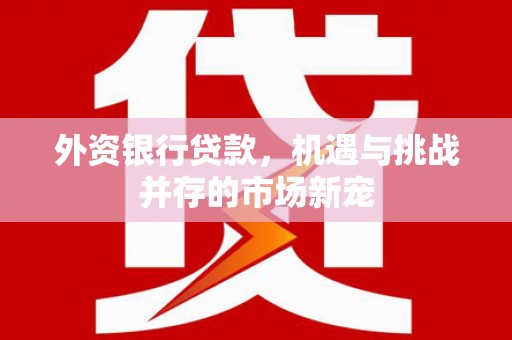 西吉外资银行贷款，机遇与挑战并存的市场新宠