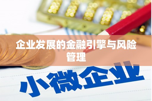 西吉企业发展的金融引擎与风险管理