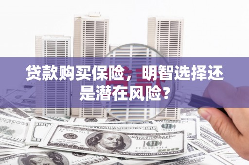 西吉贷款购买保险，明智选择还是潜在风险？