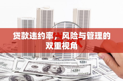 西吉贷款违约率，风险与管理的双重视角