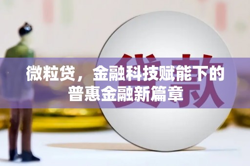 西吉微粒贷，金融科技赋能下的普惠金融新篇章