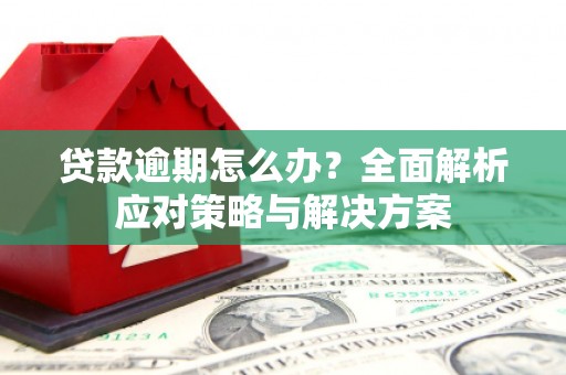 西吉贷款逾期怎么办？全面解析应对策略与解决方案