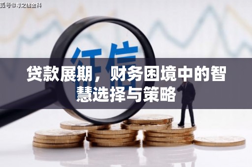 西吉贷款展期，财务困境中的智慧选择与策略