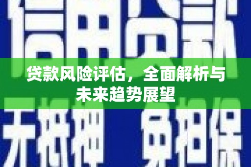 西吉贷款风险评估，全面解析与未来趋势展望