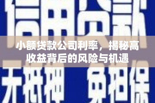 西吉小额贷款公司利率，揭秘高收益背后的风险与机遇