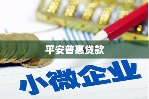 西吉平安普惠贷款