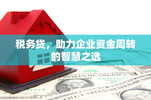 西吉税务贷，助力企业资金周转的智慧之选