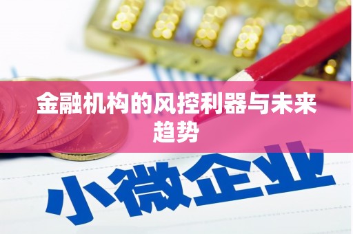 西吉金融机构的风控利器与未来趋势