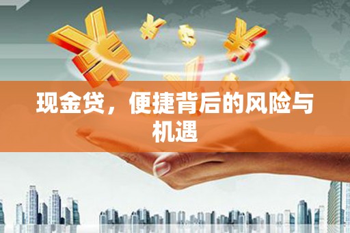 西吉现金贷，便捷背后的风险与机遇