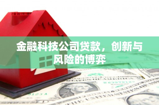 西吉金融科技公司贷款，创新与风险的博弈