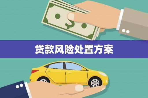 西吉贷款风险处置方案