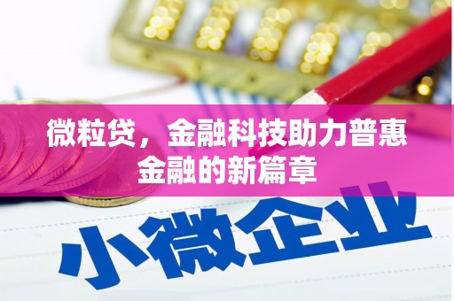 西吉微粒贷，金融科技助力普惠金融的新篇章