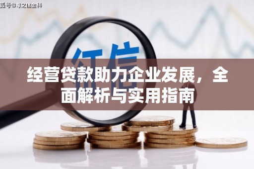 西吉经营贷款助力企业发展，全面解析与实用指南