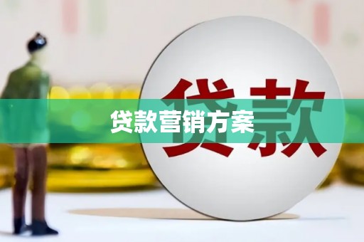 西吉贷款营销方案