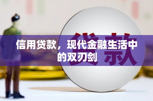 西吉信用贷款，现代金融生活中的双刃剑