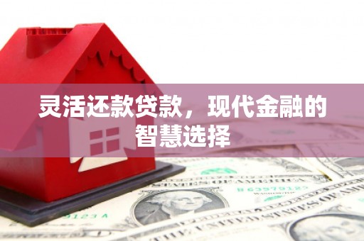 西吉灵活还款贷款，现代金融的智慧选择