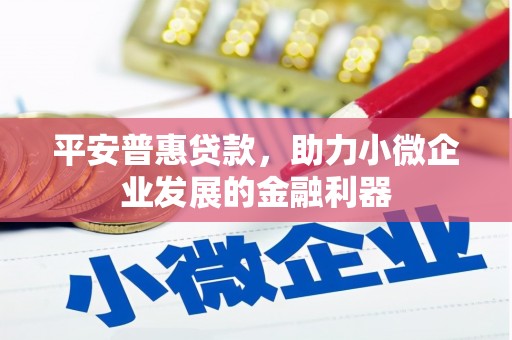 西吉平安普惠贷款，助力小微企业发展的金融利器