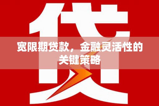 西吉宽限期贷款，金融灵活性的关键策略