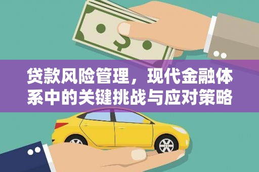 西吉贷款风险管理，现代金融体系中的关键挑战与应对策略