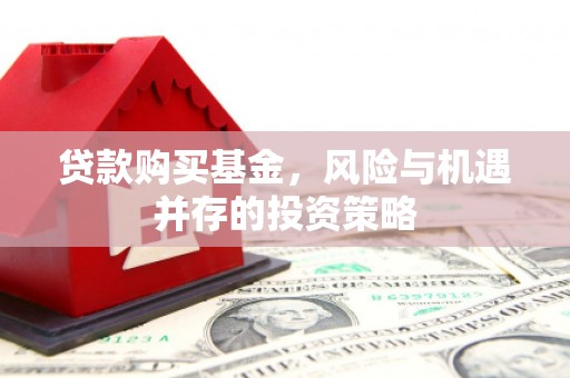 西吉贷款购买基金，风险与机遇并存的投资策略