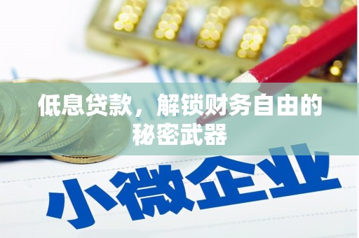西吉低息贷款，解锁财务自由的秘密武器