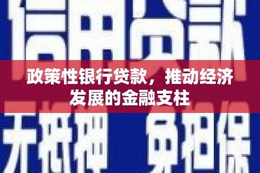 西吉政策性银行贷款，推动经济发展的金融支柱