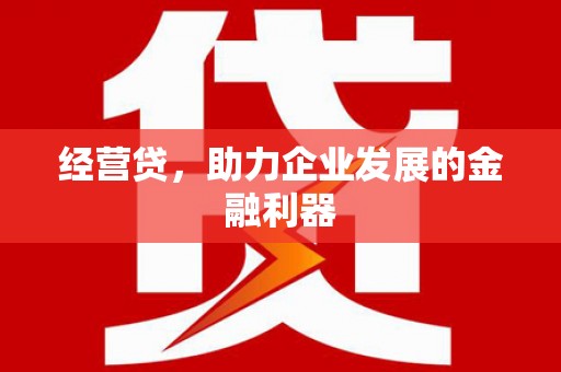 西吉经营贷，助力企业发展的金融利器