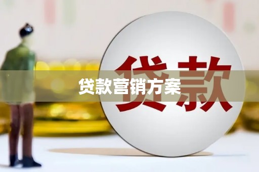 西吉贷款营销方案