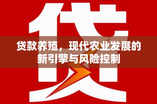 西吉贷款养殖，现代农业发展的新引擎与风险控制