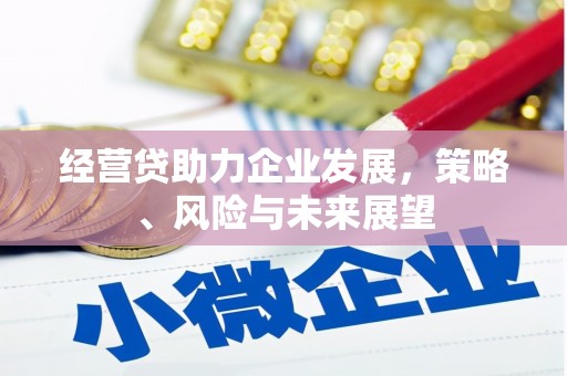 西吉经营贷助力企业发展，策略、风险与未来展望
