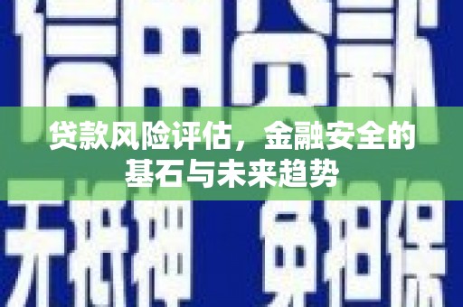 西吉贷款风险评估，金融安全的基石与未来趋势