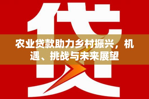 西吉农业贷款助力乡村振兴，机遇、挑战与未来展望