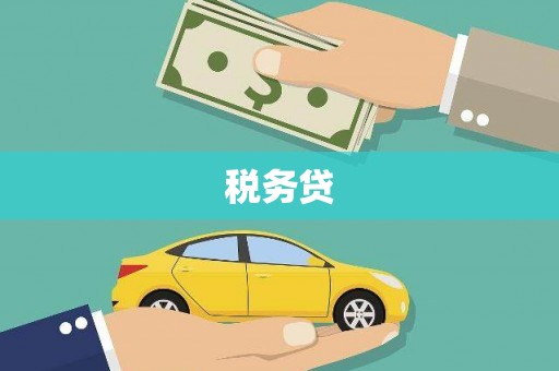 西吉税务贷
