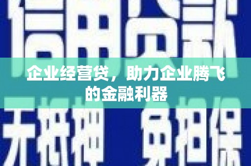 西吉企业经营贷，助力企业腾飞的金融利器