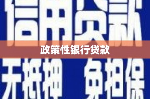 西吉政策性银行贷款