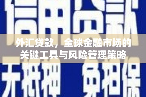 西吉外汇贷款，全球金融市场的关键工具与风险管理策略