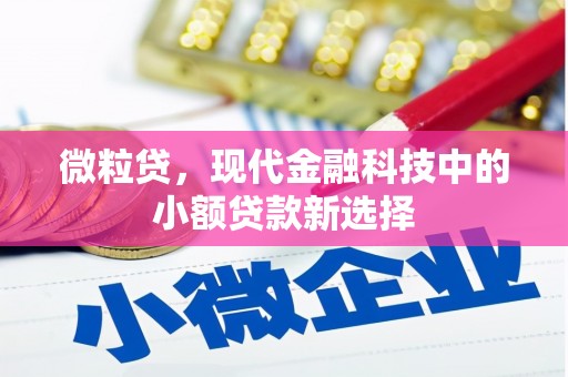西吉微粒贷，现代金融科技中的小额贷款新选择