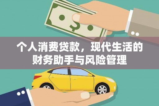 西吉个人消费贷款，现代生活的财务助手与风险管理