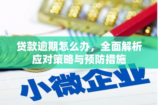 西吉贷款逾期怎么办，全面解析应对策略与预防措施