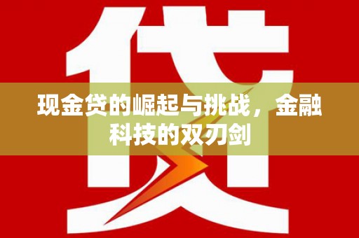 西吉现金贷的崛起与挑战，金融科技的双刃剑