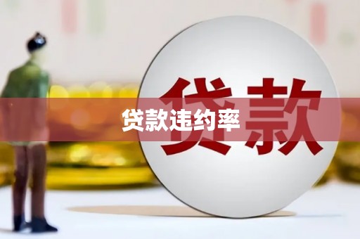 西吉贷款违约率