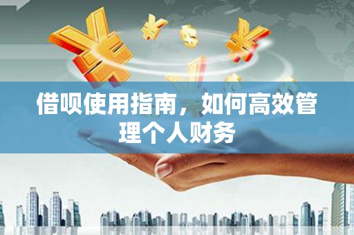 西吉借呗使用指南，如何高效管理个人财务