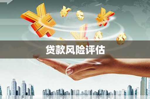 西吉贷款风险评估