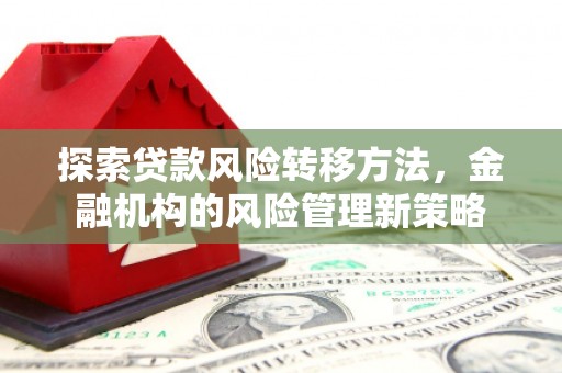 西吉探索贷款风险转移方法，金融机构的风险管理新策略