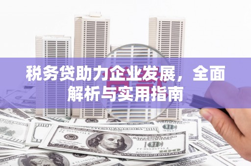 西吉税务贷助力企业发展，全面解析与实用指南