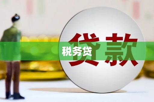 西吉税务贷