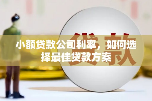 西吉小额贷款公司利率，如何选择最佳贷款方案